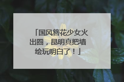 国风簪花少女火出圈，昆明真把墙绘玩明白了！