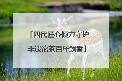 四代匠心倾力守护 非遗沱茶百年飘香