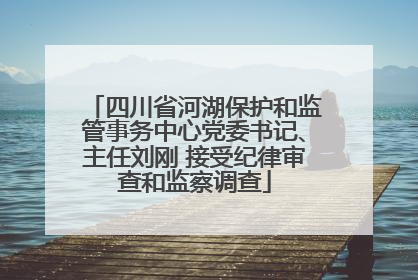 四川省河湖保护和监管事务中心党委书记、主任刘刚 接受纪律审查和监察调查