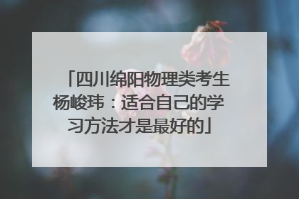 四川绵阳物理类考生杨峻玮：适合自己的学习方法才是最好的