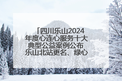 四川乐山2024年度心连心服务十大典型公益案例公布 乐山北站更名、绿心路井盖治理等上榜