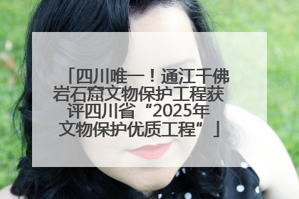 四川唯一！通江千佛岩石窟文物保护工程获评四川省“2025年文物保护优质工程”