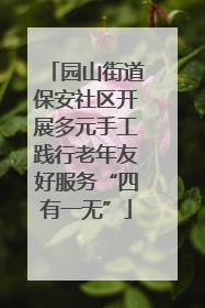 园山街道保安社区开展多元手工践行老年友好服务“四有一无”