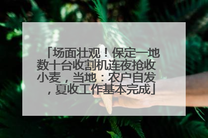 场面壮观！保定一地数十台收割机连夜抢收小麦，当地：农户自发，夏收工作基本完成
