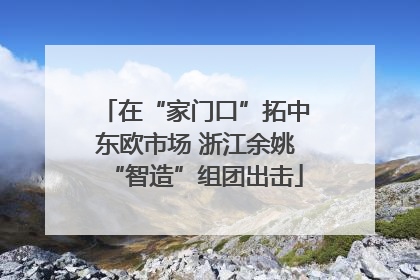 在“家门口”拓中东欧市场 浙江余姚“智造”组团出击