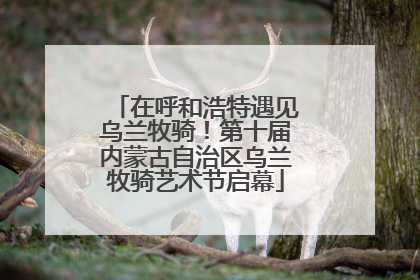 在呼和浩特遇见乌兰牧骑！第十届内蒙古自治区乌兰牧骑艺术节启幕