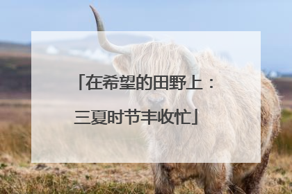 在希望的田野上：三夏时节丰收忙