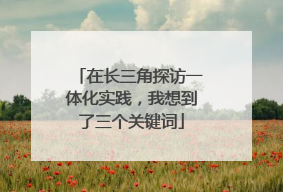在长三角探访一体化实践，我想到了三个关键词