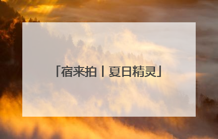 宿来拍丨夏日精灵