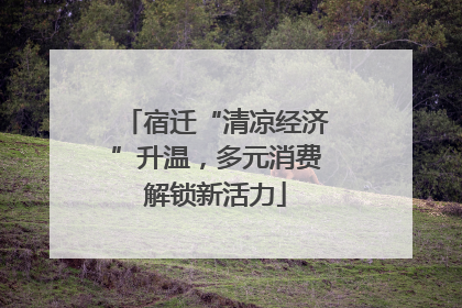 宿迁“清凉经济”升温，多元消费解锁新活力