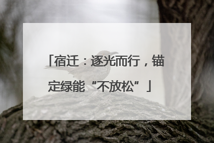 宿迁：逐光而行，锚定绿能“不放松”
