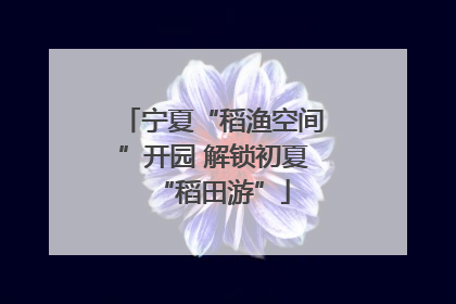 宁夏“稻渔空间”开园 解锁初夏“稻田游”
