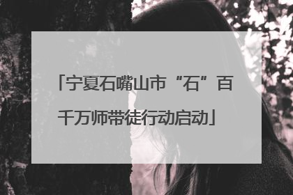 宁夏石嘴山市“石”百千万师带徒行动启动