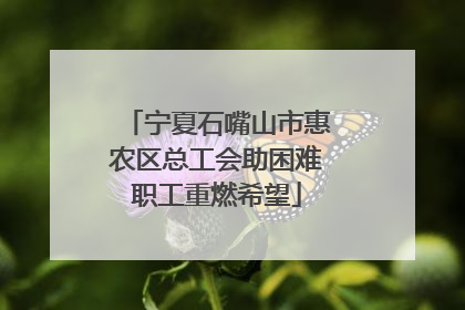 宁夏石嘴山市惠农区总工会助困难职工重燃希望