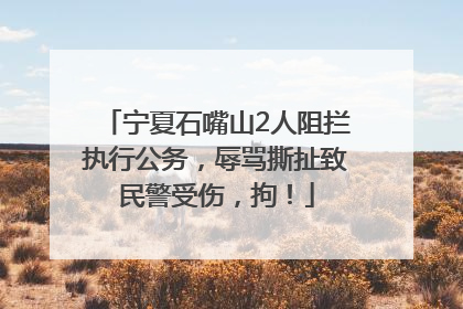 宁夏石嘴山2人阻拦执行公务，辱骂撕扯致民警受伤，拘！