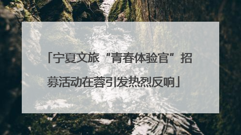 宁夏文旅“青春体验官”招募活动在蓉引发热烈反响