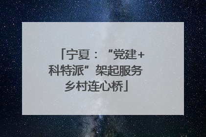 宁夏：“党建+科特派”架起服务乡村连心桥