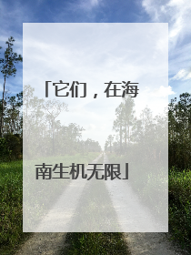 它们，在海南生机无限