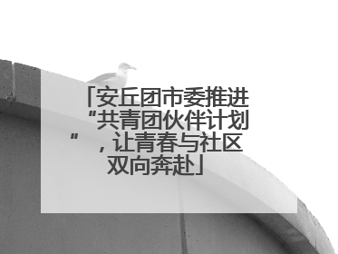 安丘团市委推进“共青团伙伴计划”，让青春与社区双向奔赴