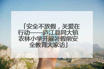 安全不放假，关爱在行动——庐江县同大镇农林小学开展暑假前安全教育大家访