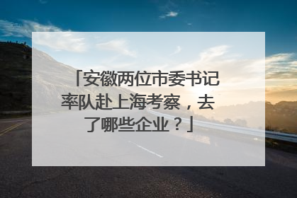 安徽两位市委书记率队赴上海考察，去了哪些企业？