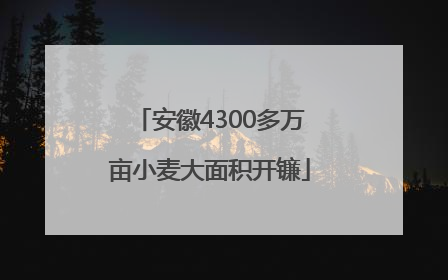 安徽4300多万亩小麦大面积开镰