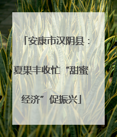安康市汉阴县：夏果丰收忙“甜蜜经济”促振兴