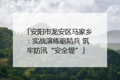 安阳市龙安区马家乡：实战演练砺精兵 筑牢防汛“安全堤”