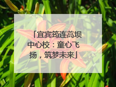 宜宾筠连蒿坝中心校：童心飞扬，筑梦未来