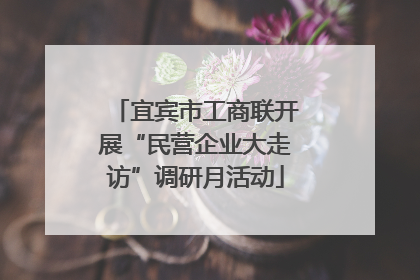 宜宾市工商联开展“民营企业大走访”调研月活动