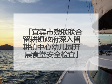 宜宾市残联联合留耕镇政府深入留耕镇中心幼儿园开展食堂安全检查