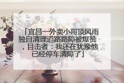 宜昌一外卖小哥顶风雨独自清理道路路障被爆赞，目击者：我还在犹豫他已经停车清障了