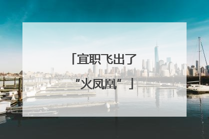 宜职飞出了“火凤凰”