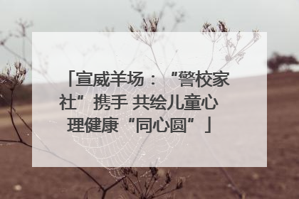 宣威羊场：“警校家社”携手 共绘儿童心理健康“同心圆”