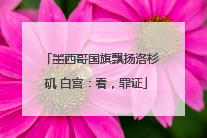墨西哥国旗飘扬洛杉矶 白宫：看，罪证