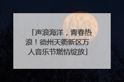 声浪海洋，青春热浪！德州天衢新区万人音乐节燃情绽放