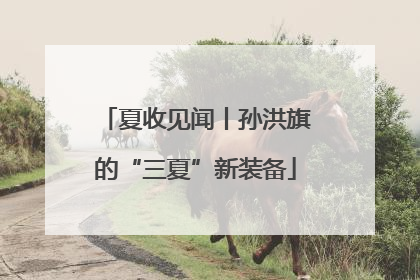 夏收见闻丨孙洪旗的“三夏”新装备