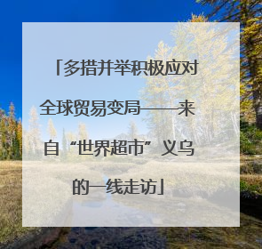 多措并举积极应对全球贸易变局——来自“世界超市”义乌的一线走访