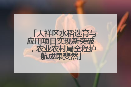 大祥区水稻选育与应用项目实现新突破，农业农村局全程护航成果斐然