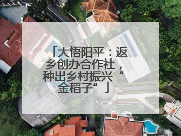 大悟阳平：返乡创办合作社，种出乡村振兴“金稻子”