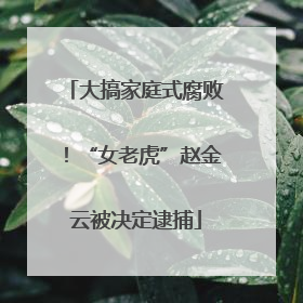 大搞家庭式腐败！“女老虎”赵金云被决定逮捕