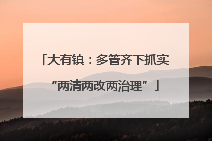 大有镇：多管齐下抓实“两清两改两治理”