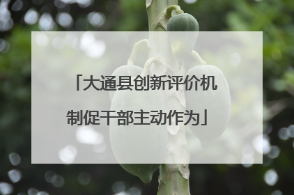 大通县创新评价机制促干部主动作为