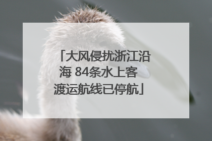 大风侵扰浙江沿海 84条水上客渡运航线已停航