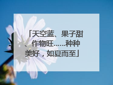 天空蓝、果子甜、作物旺……种种美好，如夏而至