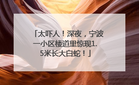 太吓人！深夜，宁波一小区楼道里惊现1.5米长大白蛇！