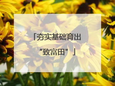 夯实基础育出“致富田”