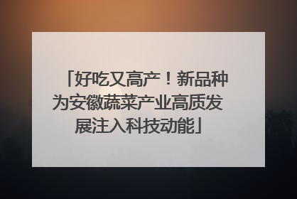 好吃又高产！新品种为安徽蔬菜产业高质发展注入科技动能