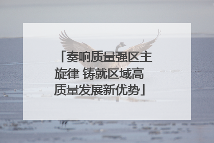 奏响质量强区主旋律 铸就区域高质量发展新优势