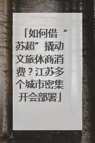 如何借“苏超”撬动文旅体商消费？江苏多个城市密集开会部署